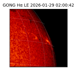 gong - 2026-01-29T02:00:42
