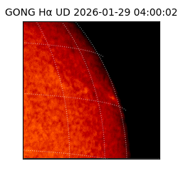 gong - 2026-01-29T04:00:02