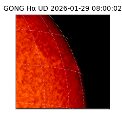 gong - 2026-01-29T08:00:02