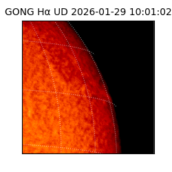 gong - 2026-01-29T10:01:02