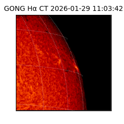 gong - 2026-01-29T11:03:42