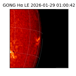 gong - 2026-01-29T01:00:42