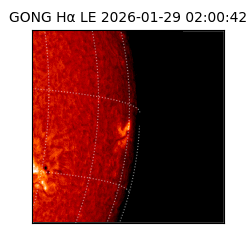 gong - 2026-01-29T02:00:42