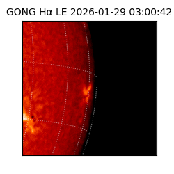 gong - 2026-01-29T03:00:42