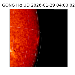 gong - 2026-01-29T04:00:02