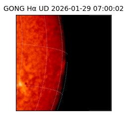 gong - 2026-01-29T07:00:02
