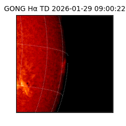 gong - 2026-01-29T09:00:22