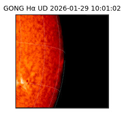 gong - 2026-01-29T10:01:02