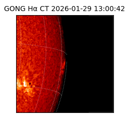 gong - 2026-01-29T13:00:42