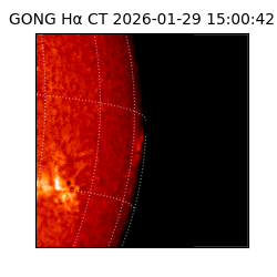 gong - 2026-01-29T15:00:42