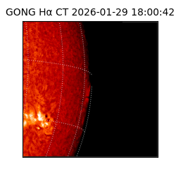 gong - 2026-01-29T18:00:42