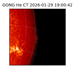 gong - 2026-01-29T19:00:42