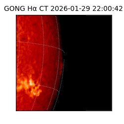 gong - 2026-01-29T22:00:42
