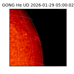 gong - 2026-01-29T05:00:02