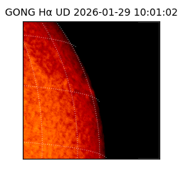 gong - 2026-01-29T10:01:02