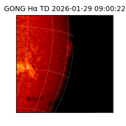gong - 2026-01-29T09:00:22