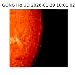 gong - 2026-01-29T10:01:02