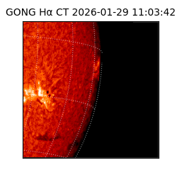 gong - 2026-01-29T11:03:42