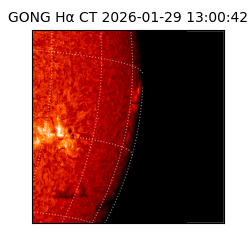 gong - 2026-01-29T13:00:42