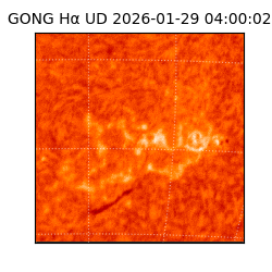 gong - 2026-01-29T04:00:02