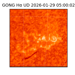 gong - 2026-01-29T05:00:02