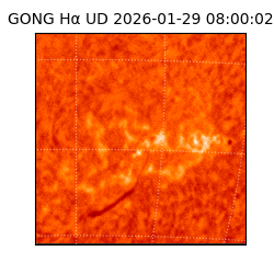 gong - 2026-01-29T08:00:02