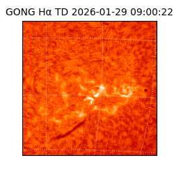 gong - 2026-01-29T09:00:22