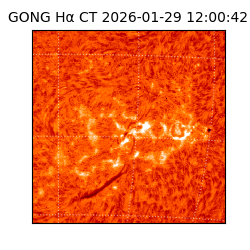 gong - 2026-01-29T12:00:42