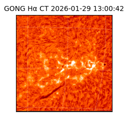 gong - 2026-01-29T13:00:42