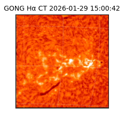 gong - 2026-01-29T15:00:42