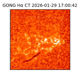 gong - 2026-01-29T17:00:42