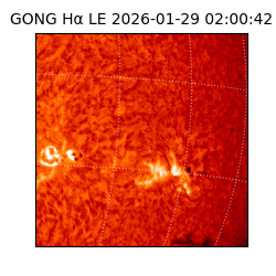 gong - 2026-01-29T02:00:42