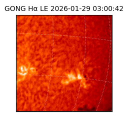 gong - 2026-01-29T03:00:42