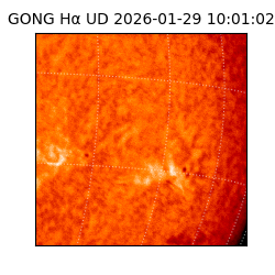 gong - 2026-01-29T10:01:02