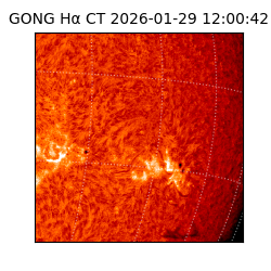 gong - 2026-01-29T12:00:42