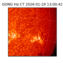 gong - 2026-01-29T13:00:42