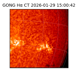 gong - 2026-01-29T15:00:42