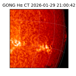 gong - 2026-01-29T21:00:42