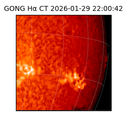 gong - 2026-01-29T22:00:42