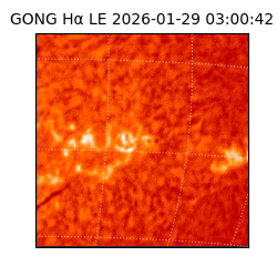 gong - 2026-01-29T03:00:42