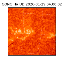 gong - 2026-01-29T04:00:02