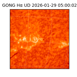 gong - 2026-01-29T05:00:02