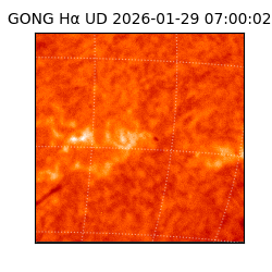 gong - 2026-01-29T07:00:02