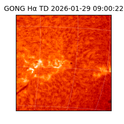 gong - 2026-01-29T09:00:22