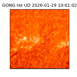 gong - 2026-01-29T10:01:02