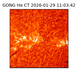 gong - 2026-01-29T11:03:42