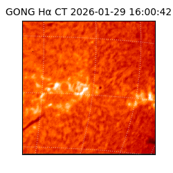 gong - 2026-01-29T16:00:42