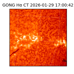 gong - 2026-01-29T17:00:42