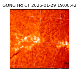 gong - 2026-01-29T19:00:42