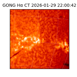 gong - 2026-01-29T22:00:42